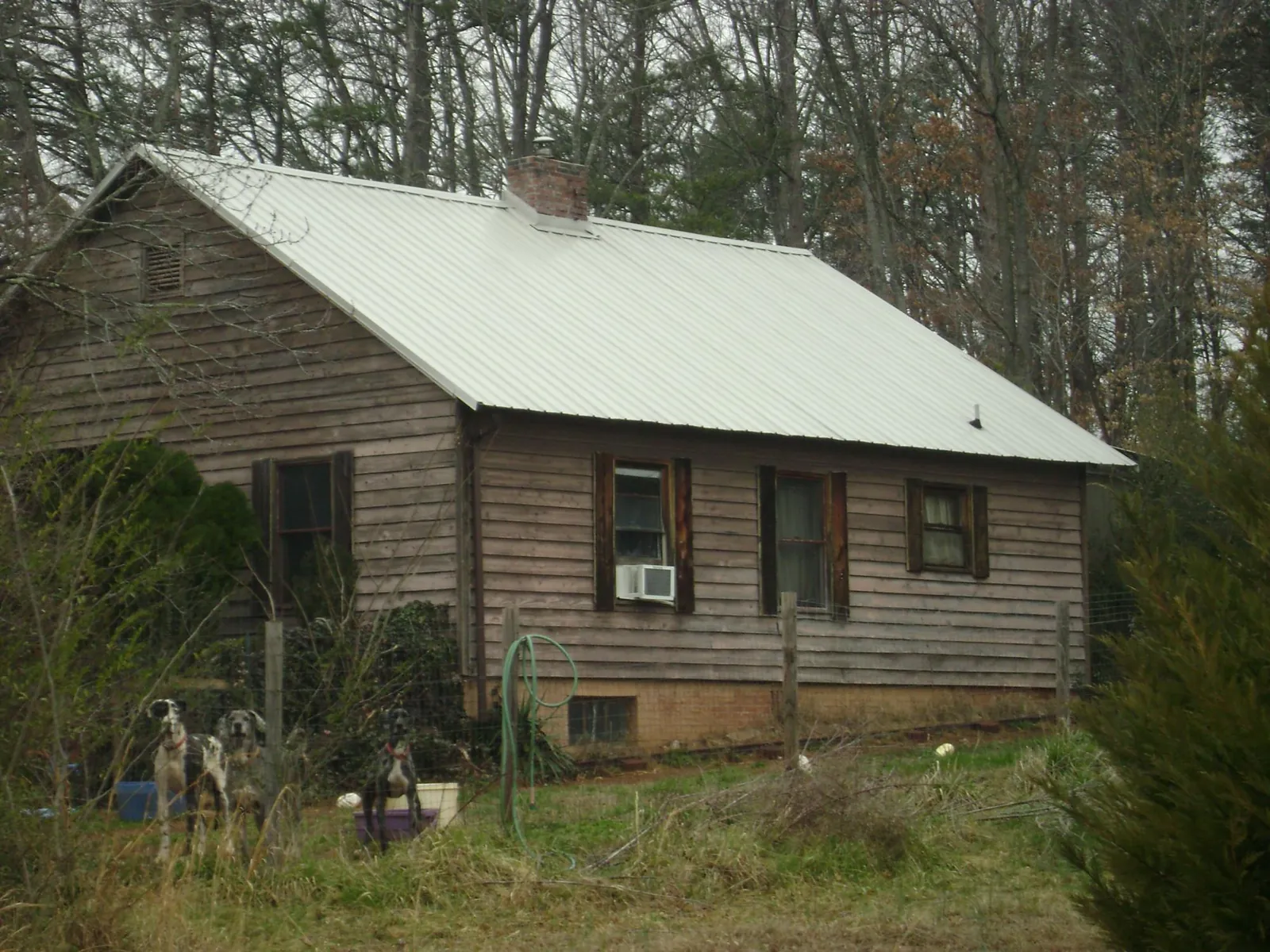 White metal roof on an old wood sided farmhouse, from a Asphalt Shingle Roof Repair job in Oak City